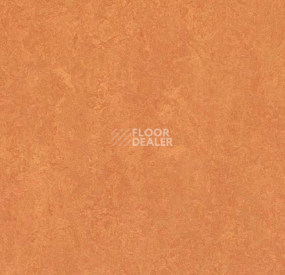 Линолеум Forbo Marmoleum Marbled Fresco 3825-382535 African desert фото 1 | FLOORDEALER